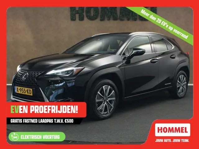 Lexus UX 300e Business 54 kWh 2020 Elektrisch