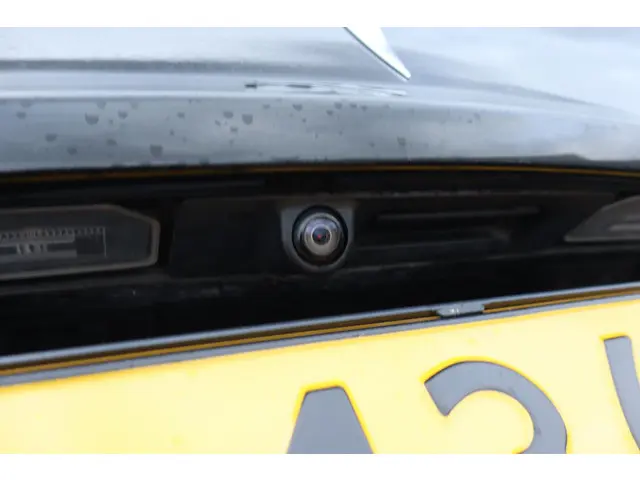 Tesla Model 3 Standard RWD Plus 60 kWh 2019 Elektrisch 21