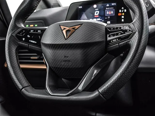 CUPRA Born Business 62 kWh 2024 Elektrisch 18