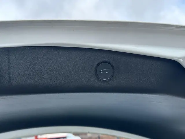 Tesla Model 3 Standard RWD Plus 60 kWh 2023 Elektrisch 7