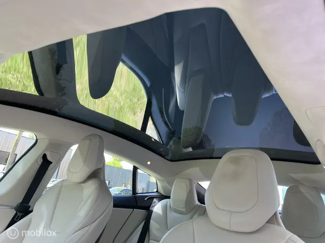 Tesla Model S 100D 2017 Elektrisch 5