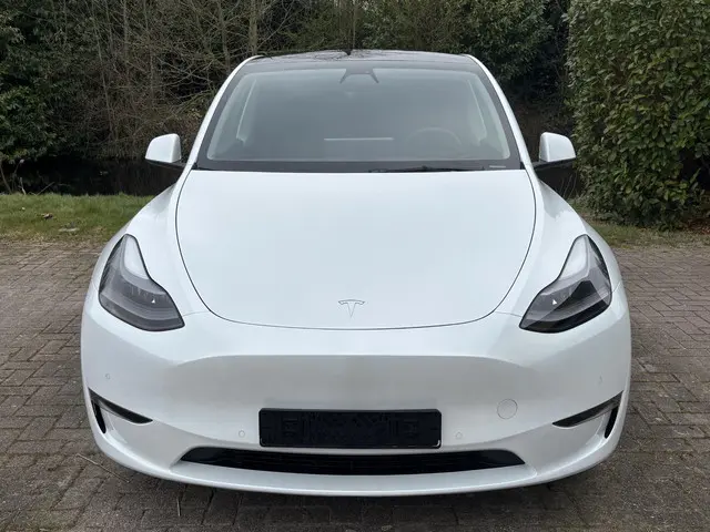 Tesla Model Y Long Range AWD 75 kWh 2022 Elektrisch 2