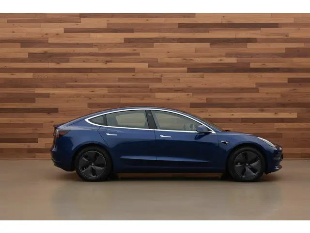 Tesla Model 3 Standard RWD Plus 60 kWh 2019 Elektrisch 6