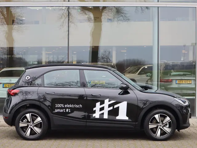 Smart #1 Pure+ 66 kWh 2025 Elektrisch 4