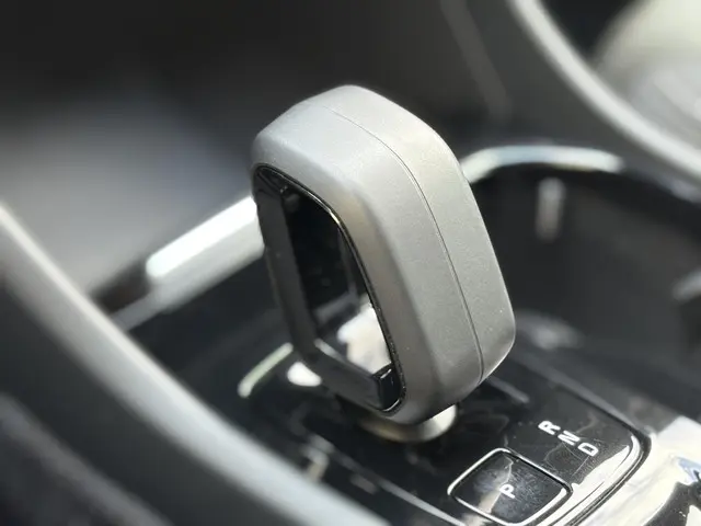 Volvo XC40 2.0 B4 Plus Dark 2024 Benzine 12
