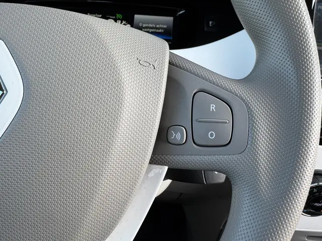 Renault ZOE R90 LIFE 41 kWh 2017 Elektrisch 19