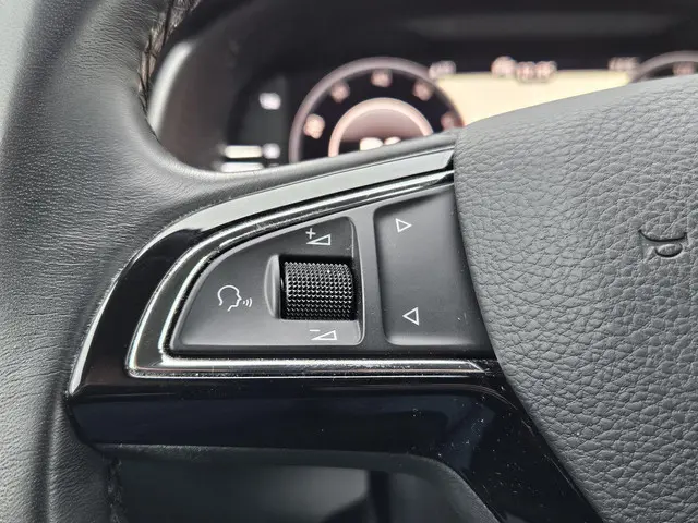 Škoda Scala 1.0 TSI Business Edition 2019 Benzine 12
