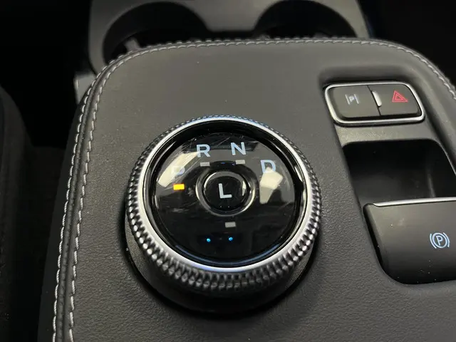 Ford Mustang Mach-E RWD 75 kWh 2021 Elektrisch 48