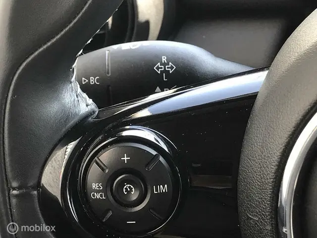MINI Cooper 1.5 Salt / Pepper 2019 Benzine 11