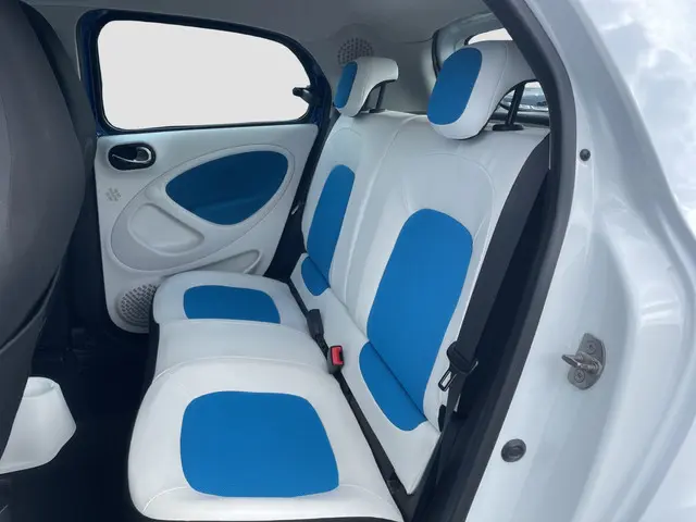 Smart Forfour 1.0 Proxy 2015 Benzine 16