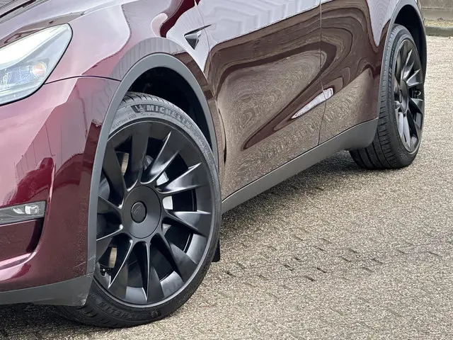Tesla Model Y Long Range AWD 75 kWh 2023 Elektrisch 8