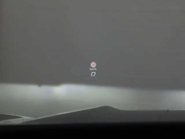 CUPRA Terramar 1.5TSI/150PK DSG Business 2025 Benzine 49