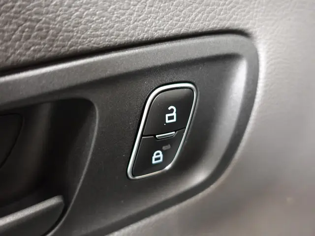 Ford Transit 350 2.0 TDCI L4H3 Trend 2024 Diesel 6