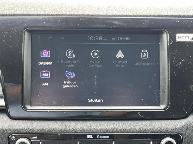 Kia e-Niro ExecutiveLine 64 kWh 2019 Elektrisch 80