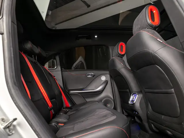 Smart #1 BRABUS 66 kWh 2025 Elektrisch 17