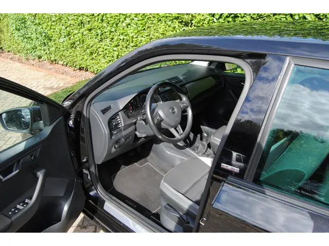 Škoda Fabia 1.2 TSI JOY 2017 Benzine 9