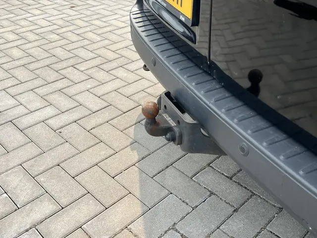 Ford Transit Custom 3