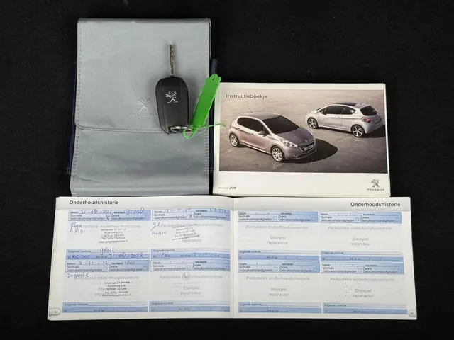 Peugeot 208 1.2 VTi Envy 2013 Benzine 22