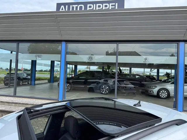Volkswagen T-Roc 1.5 TSI Sport 2021 Benzine 10