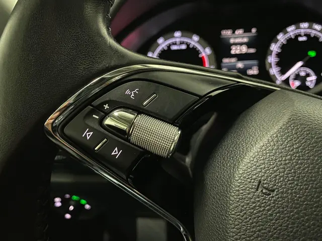 Škoda Kodiaq 1.5 TSI Business Edition 2021 Benzine 24