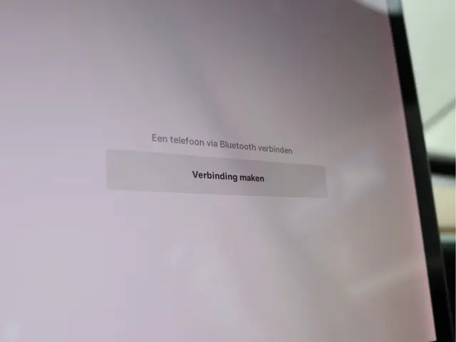 Tesla Model 3 Standard RWD Plus 60 kWh 2019 Elektrisch 43