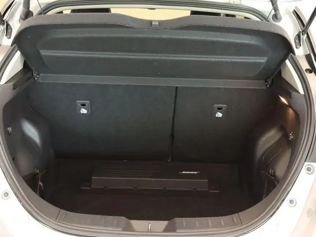 Nissan Leaf e+ Tekna 62 kWh 2019 Elektrisch 17