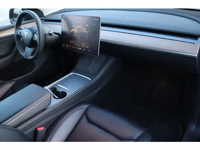 Tesla Model Y Long Range RWD 75 kWh 2024 Elektrisch 10