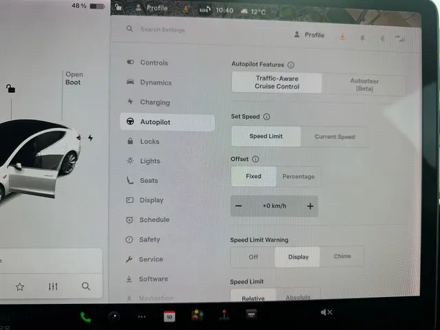 Tesla Model 3 Standard RWD Plus 60 kWh 2019 Elektrisch 20