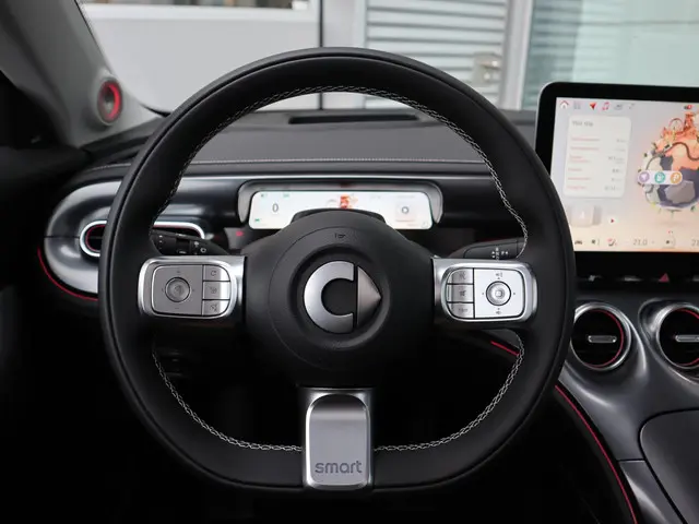 Smart #3 Premium 66 kWh 2025 Elektrisch 15