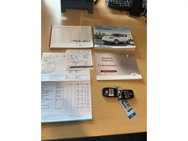 Kia e-Soul EV ExecutiveLine 27 kWh 2015 Elektrisch 24