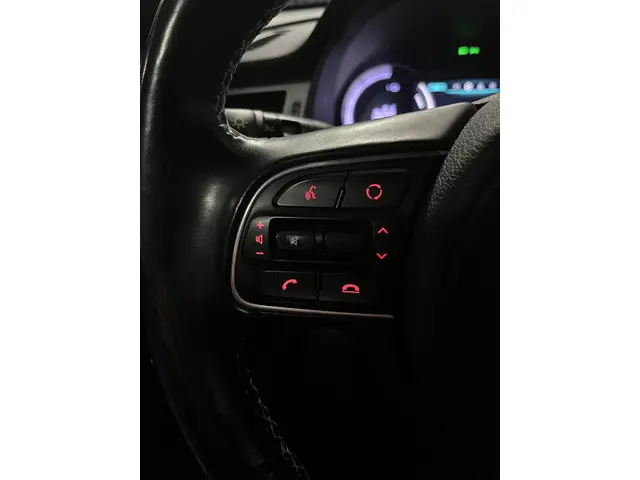 Kia e-Niro ExecutiveLine 64 kWh 2020 Elektrisch 24