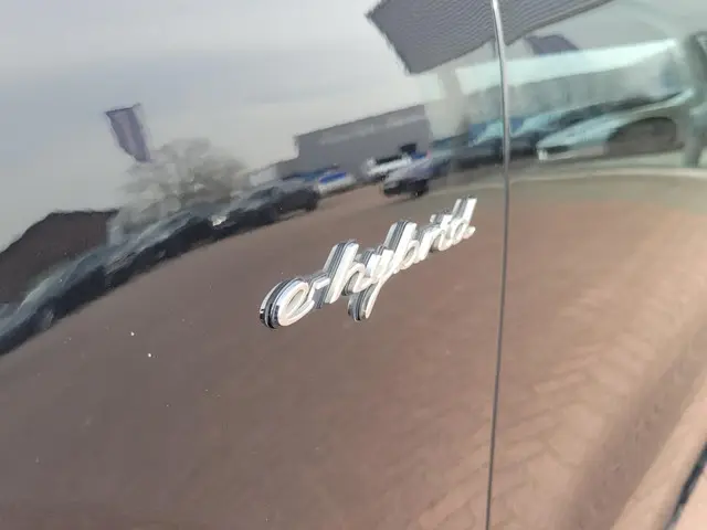 Porsche Cayenne 3.0 E-Hybrid 2020 Hybride Benzine 17