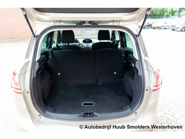 Ford B-MAX 1.0 EcoBoost Titanium 2014 Benzine 48