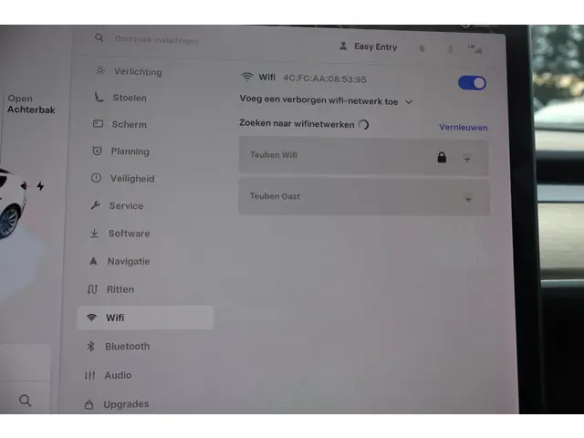 Tesla Model 3 Standard RWD Plus 60 kWh 2021 Elektrisch 46