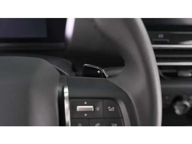 Citroën C4 X PureTech 130 EAT8 Plus 2023 Benzine 29