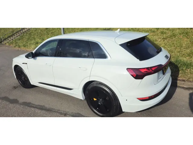 Audi e-tron 50 quattro S edition 71 kWh 2022 Elektrisch 7