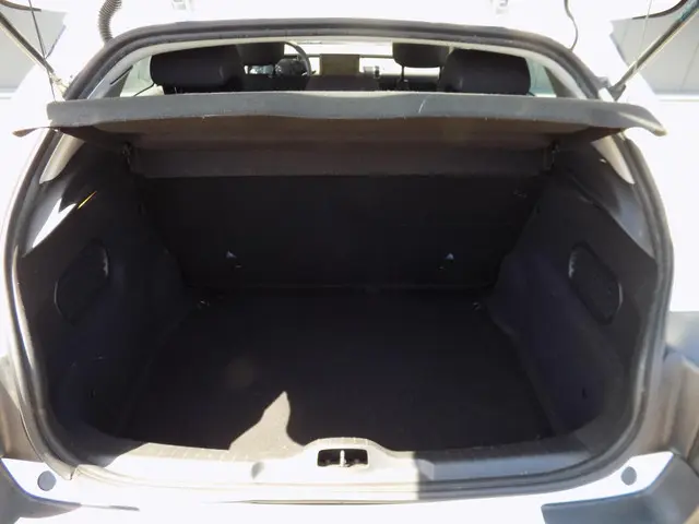 Citroën C4 Cactus 1.2 PureTech Feel 2015 Benzine 12