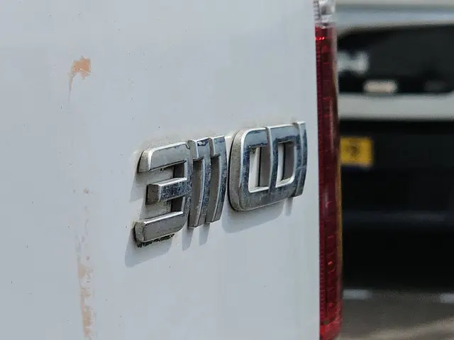Mercedes-Benz Sprinter 311 2018 Diesel 15