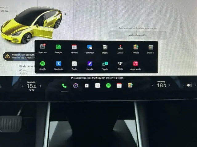 Tesla Model 3 Long Range 75 kWh 2019 Elektrisch 22