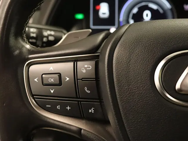 Lexus UX 300e Business 54 kWh 2020 Elektrisch 21