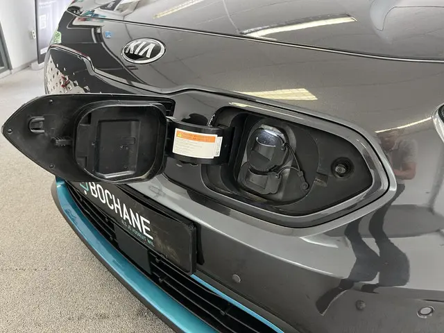 Kia e-Niro ExecutiveLine 64 kWh 2020 Elektrisch 32