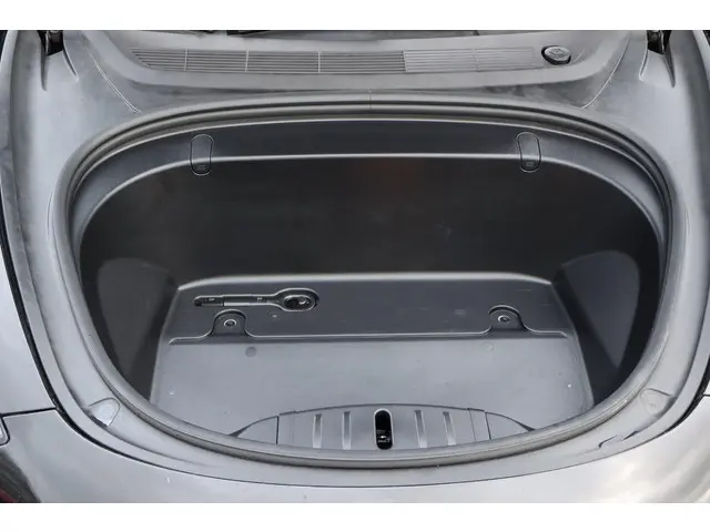 Tesla Model 3 Standard RWD Plus 60 kWh 2019 Elektrisch 25