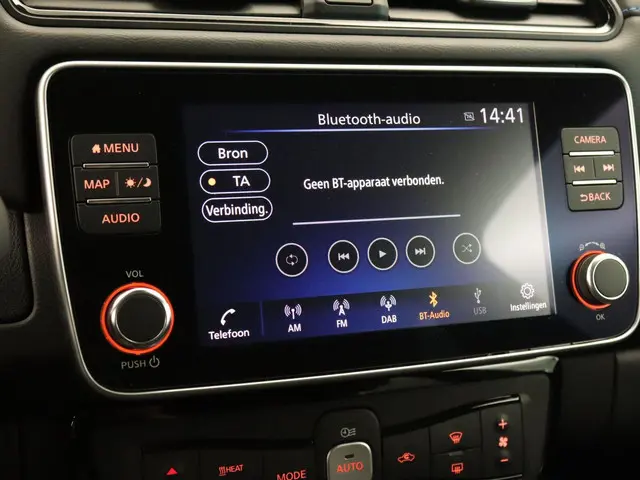 Nissan Leaf e+ Tekna 62 kWh 2019 Elektrisch 36