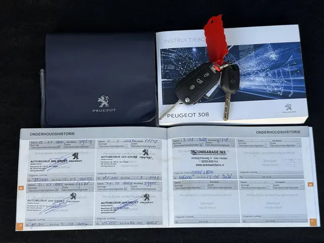 Peugeot 308 SW 1.2 PureTech Blue Lion 2017 Benzine 24