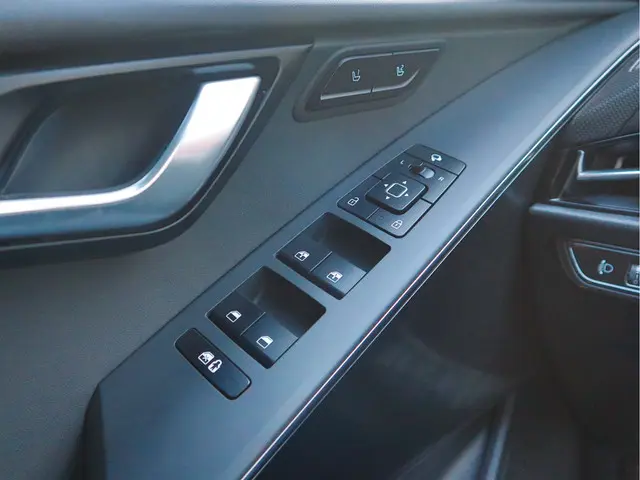 Kia Niro EV ExecutiveLine 64.8 kWh 2024 Elektrisch 10