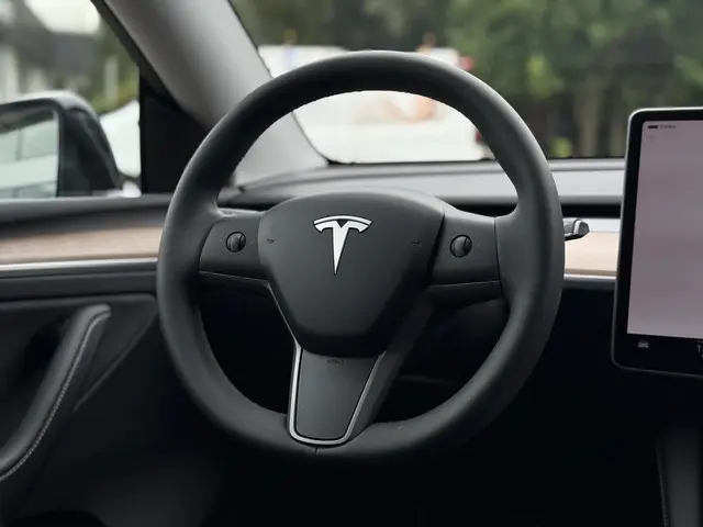 Tesla Model Y Long Range AWD Dual 2024 Elektrisch 20