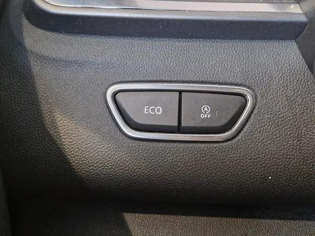 Renault Kadjar 1.3 TCe Black Edition 2021 Benzine 25