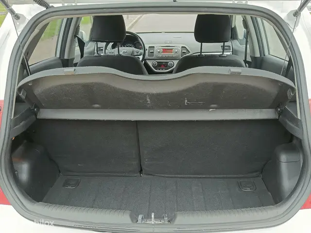 Kia Picanto 1.2 CVVT First Edition 2015 Benzine 12