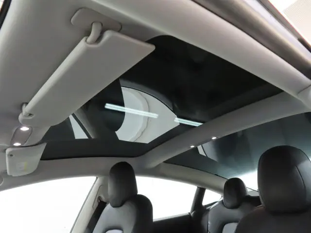 Tesla Model 3 Standard RWD Plus 60 kWh 2020 Elektrisch 12