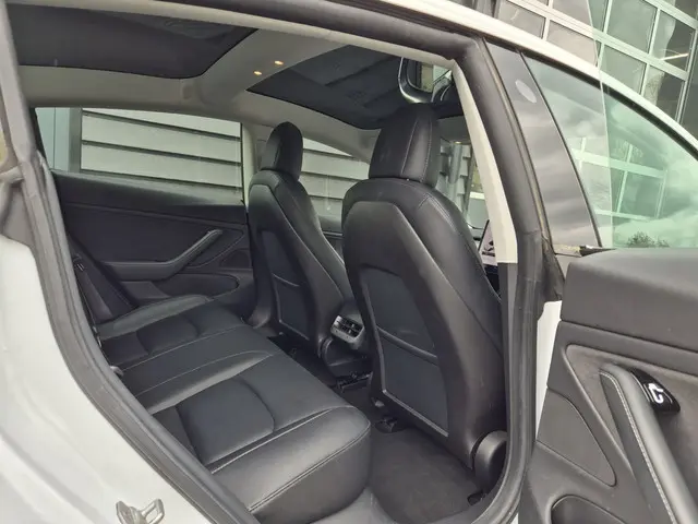 Tesla Model 3 Standard RWD Plus 60 kWh 2019 Elektrisch 10